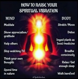 how-raise-your-vibration.jpg