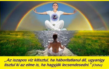 az-elme-tisztul--ha-hagyjuk-lecsendesedni.jpg
