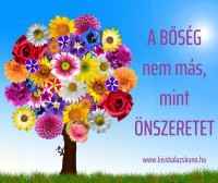 a-boseg-nem-mas--mint-onszeretet.jpg