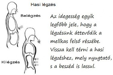 hasi-legzes