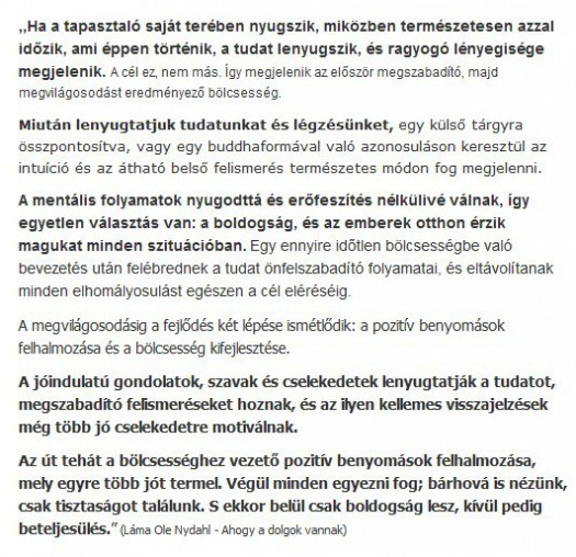 ha-a-tapasztalo--lenyugtatjuk-tudatunkat-es-legzesunket--a-p.jpg
