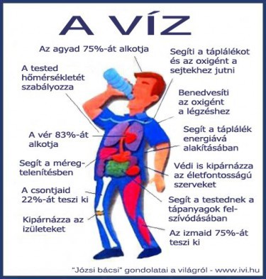 a-viz.jpg