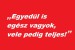 vele-teljes-vagyok