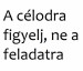a-celodra-figyelj--ne-a-feladatra