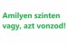 amilyen-szinten-vagy