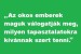 az-okos-ember-megvalogatja--mit-akar-tapasztalni