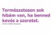 ha-benned-keves-a-szeretet--hibat-latsz