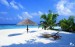 beach-tropical-wallpaper-palm-trees-hawaii